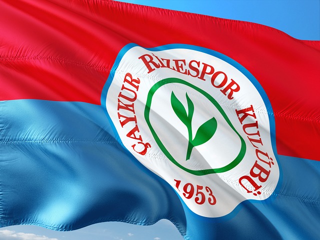 中国国家队 中国国家队