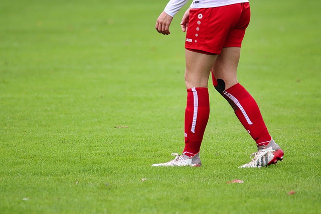 斯卓越的 斯卓越的