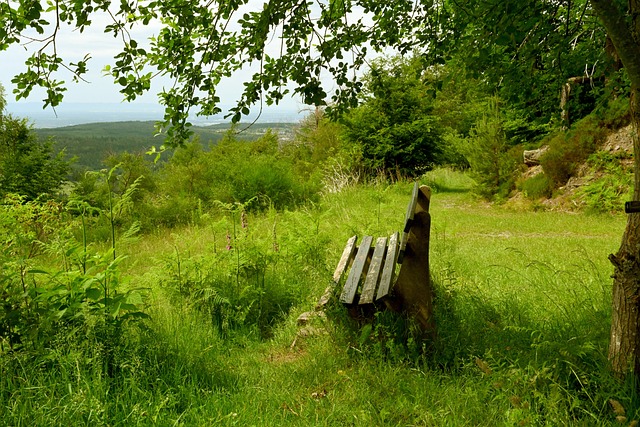 恢复的影响 恢复的影响