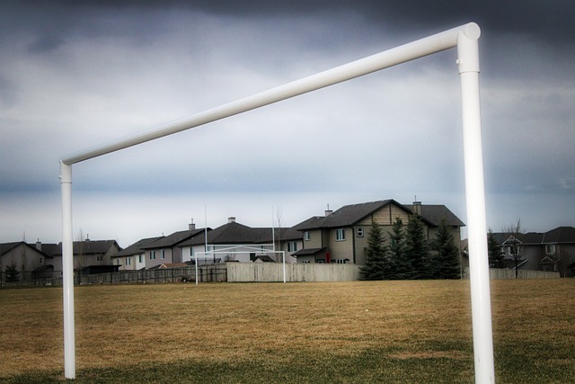 员立于不败 员立于不败